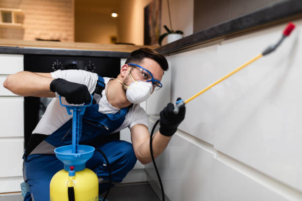 Best Pest Removal Services  in Pocahontas, AR