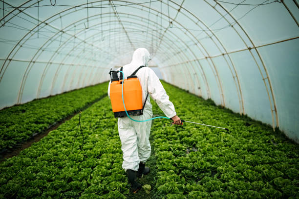 Reliable Pocahontas, AR Pest Control Solutions