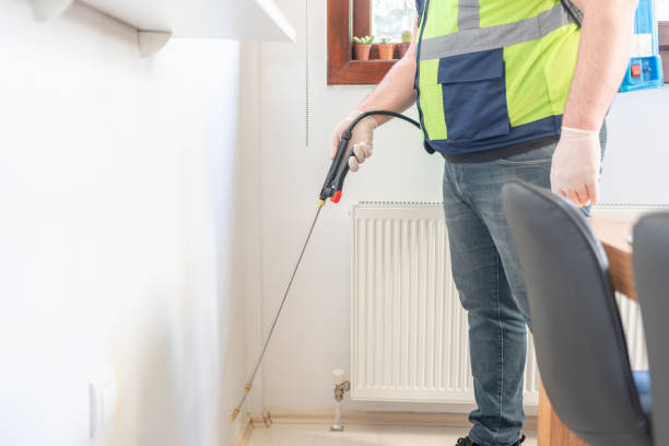 Best Flea Control Services  in Pocahontas, AR